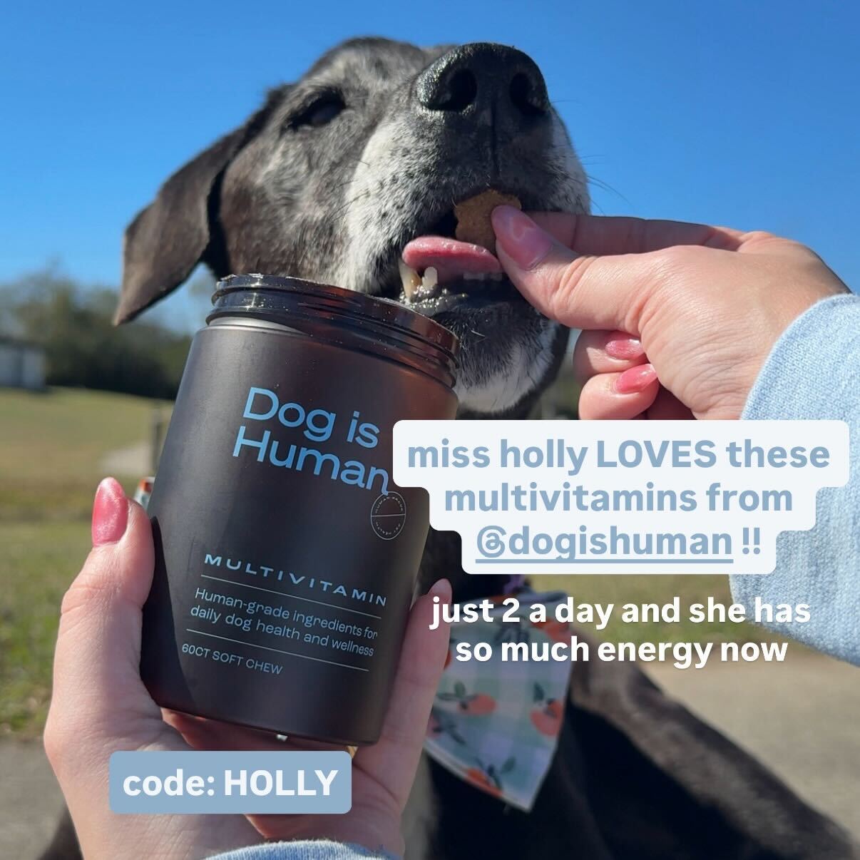 hoogie_bear_ Facebook ad from Feb 4, 2026