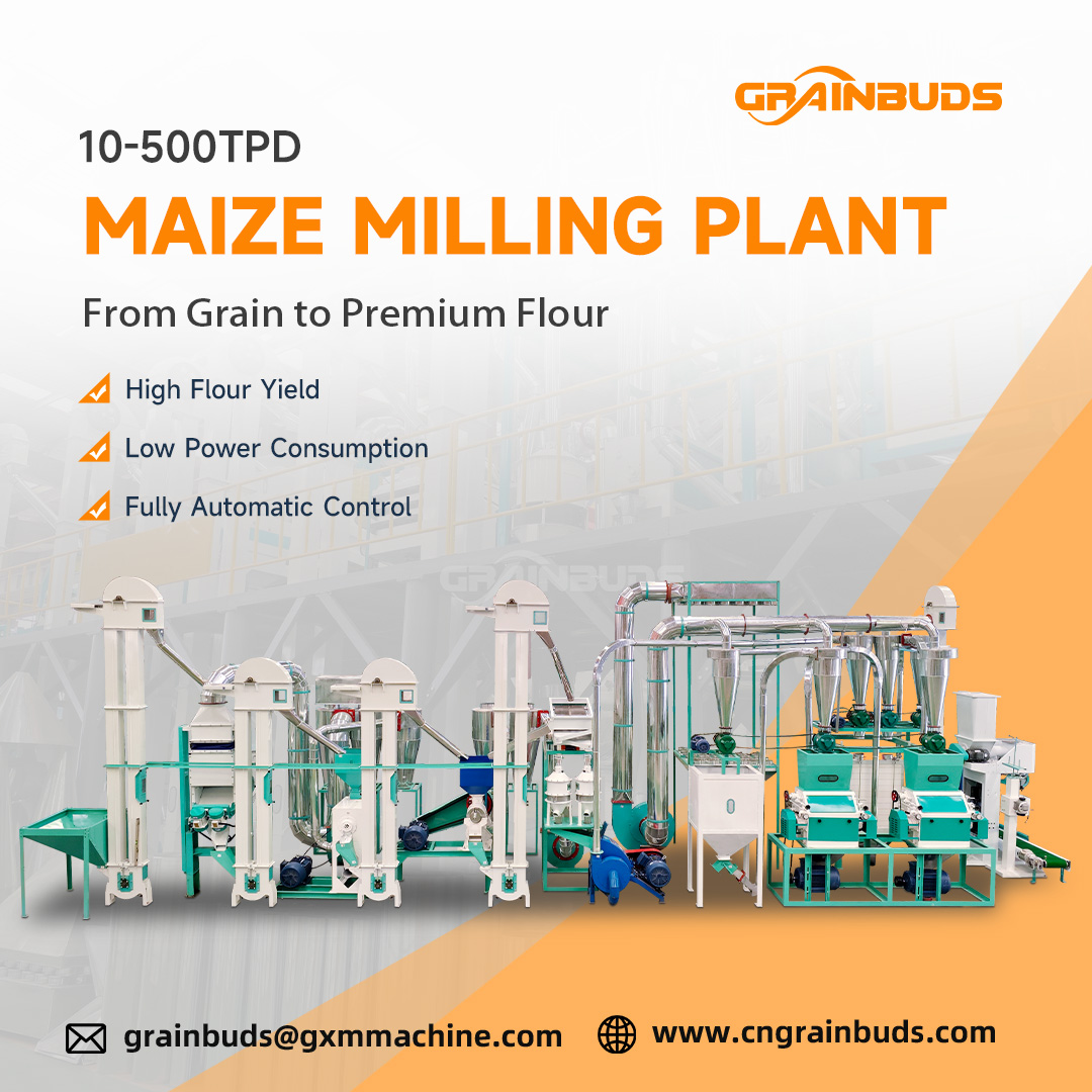 GRAIN BUDS GROUP Facebook ad from Jun 15, 2026