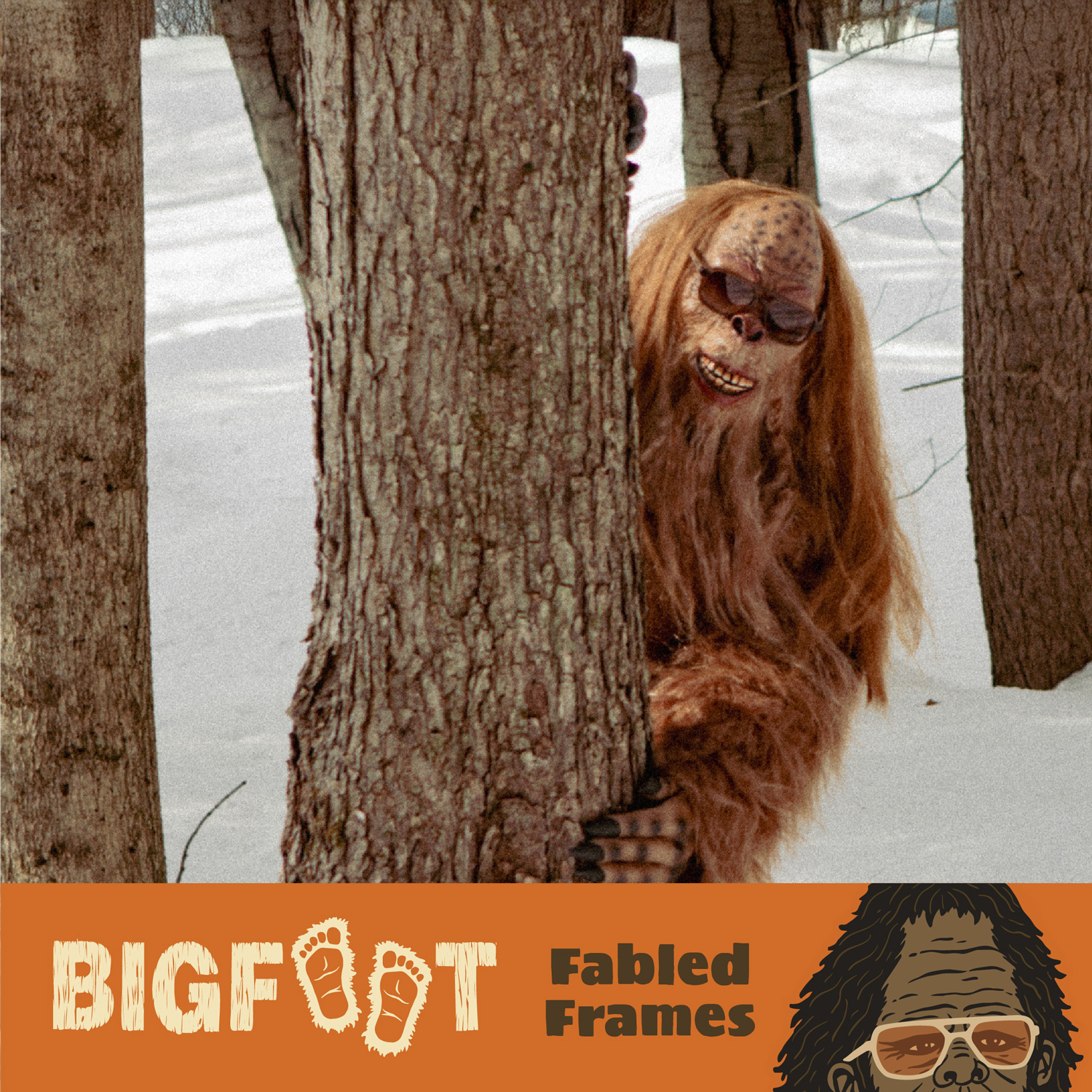 Shwood Eyewear Facebook ad