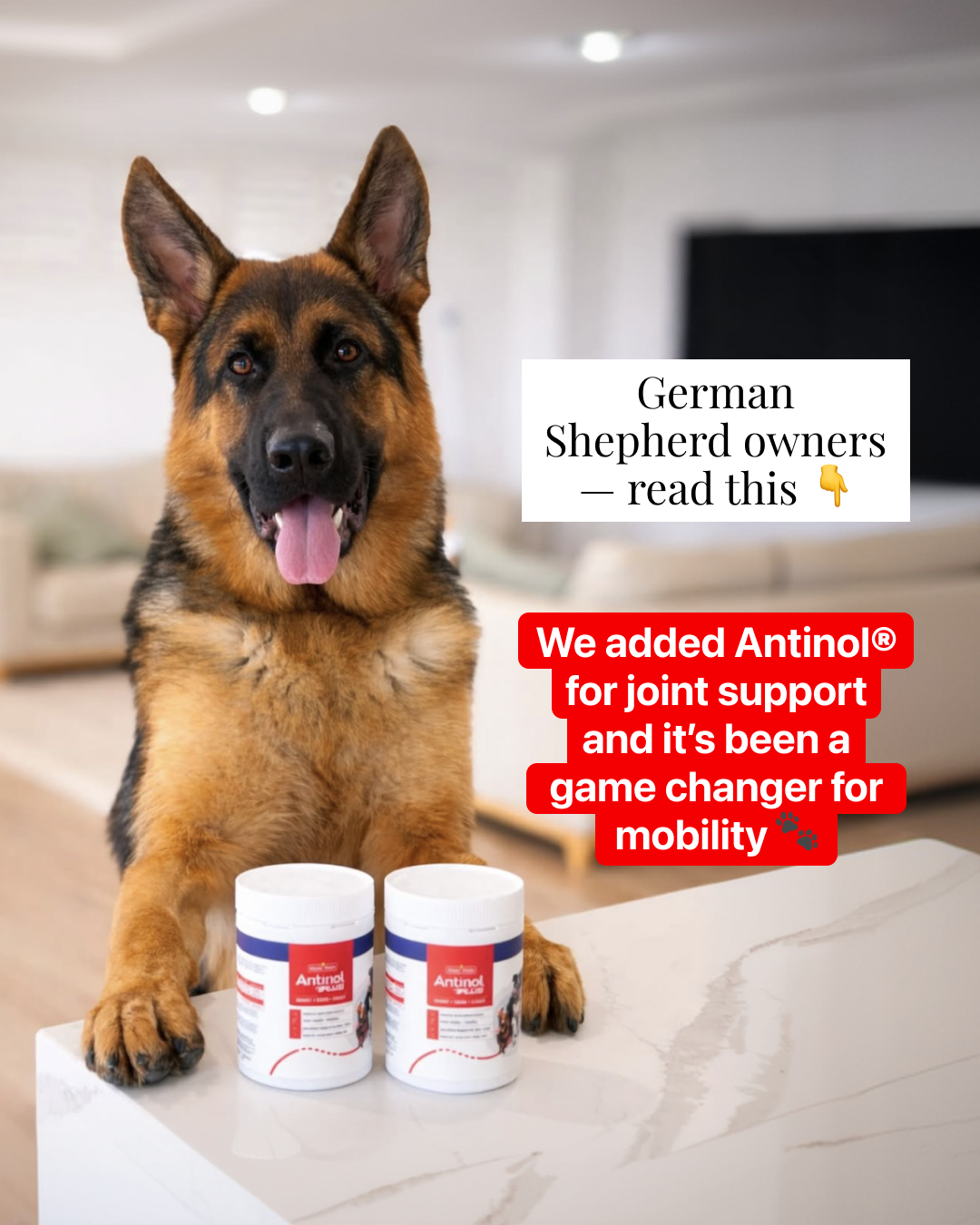 Antinol Australia Facebook ad: Try Risk-Free