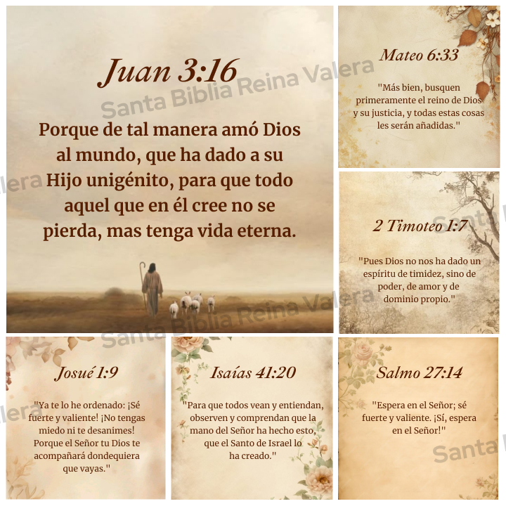 Bible Offline Facebook ad
