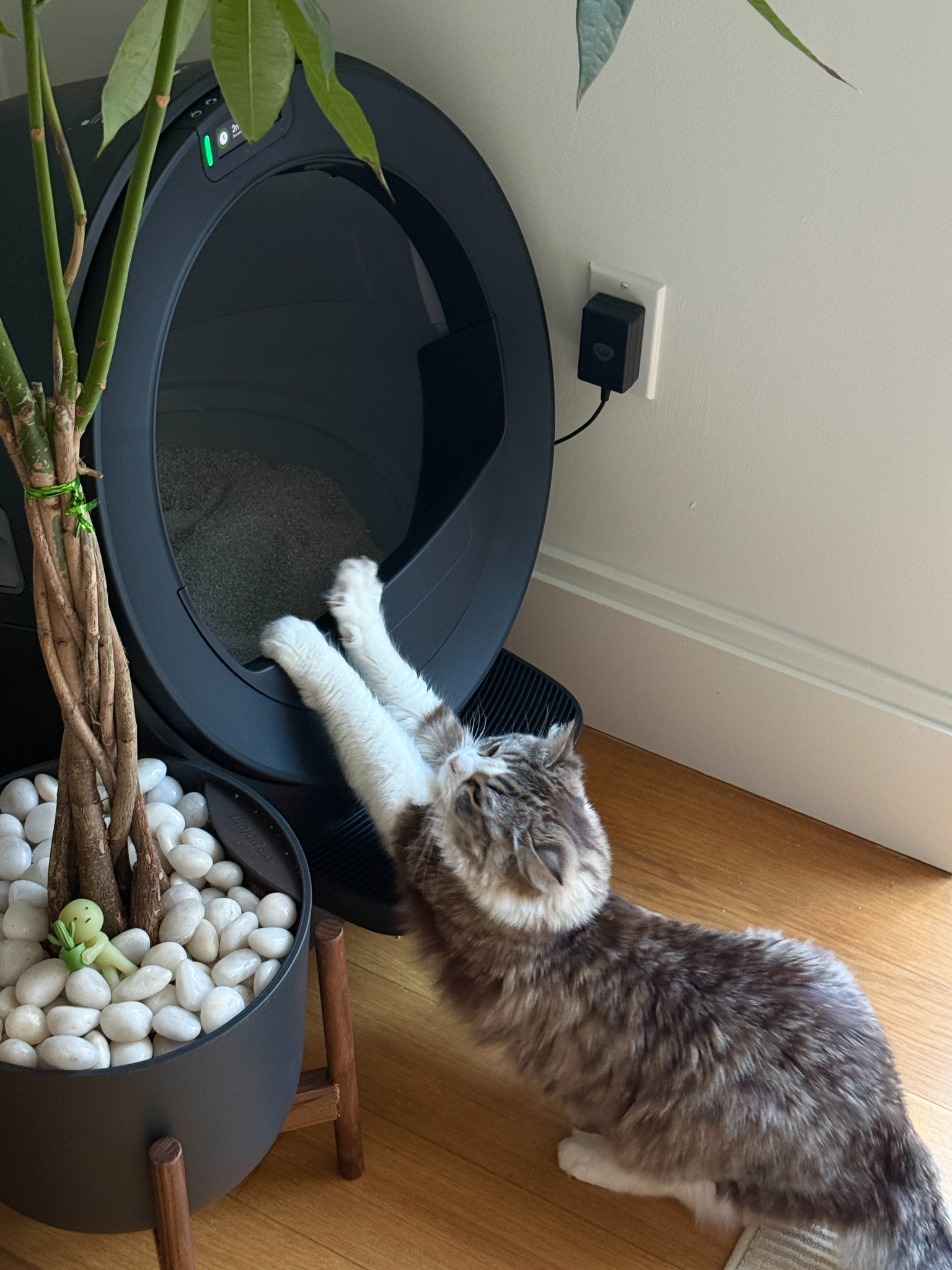 Litter-Robot by Whisker Facebook ad