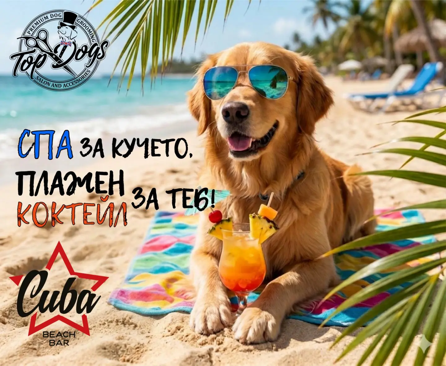 Top Dogs BG Facebook ad: Make an appointment at Top Dogs Grooming - boulevard…