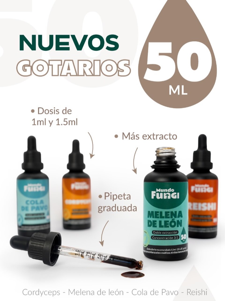 Mundo Fungi Facebook ad