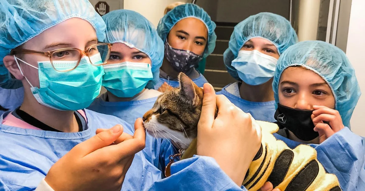 Sydney Eastern Suburbs News Facebook ad: Future Vet Kids Camp Returns To Waverley In January 2026…