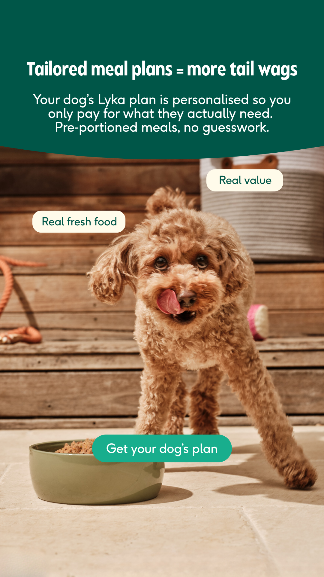 Lyka Pet Food Facebook ad