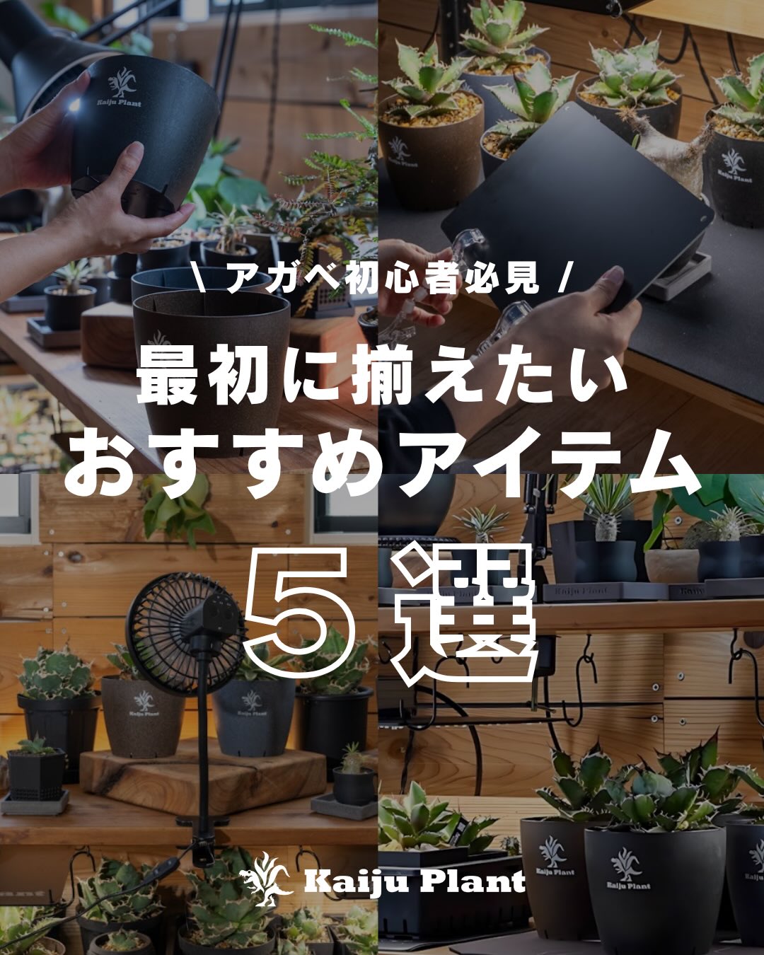 Kaiju_Plant Facebook ad: 自分も最初はそうでした。