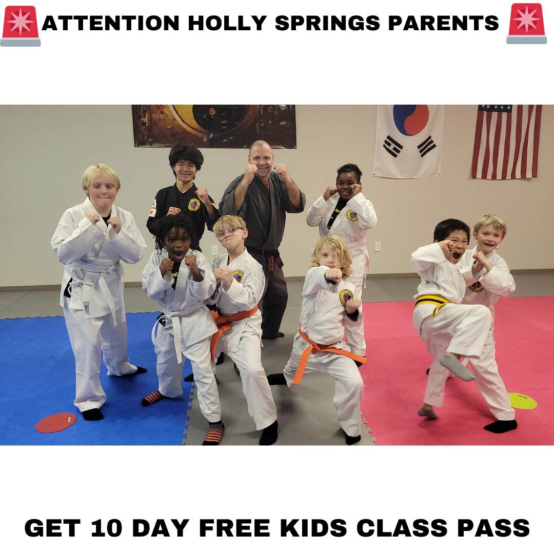 Power Martial Arts Holly Springs NC Facebook ad: Want a FREE 10-Day, Kids Martial Arts Class Pass?