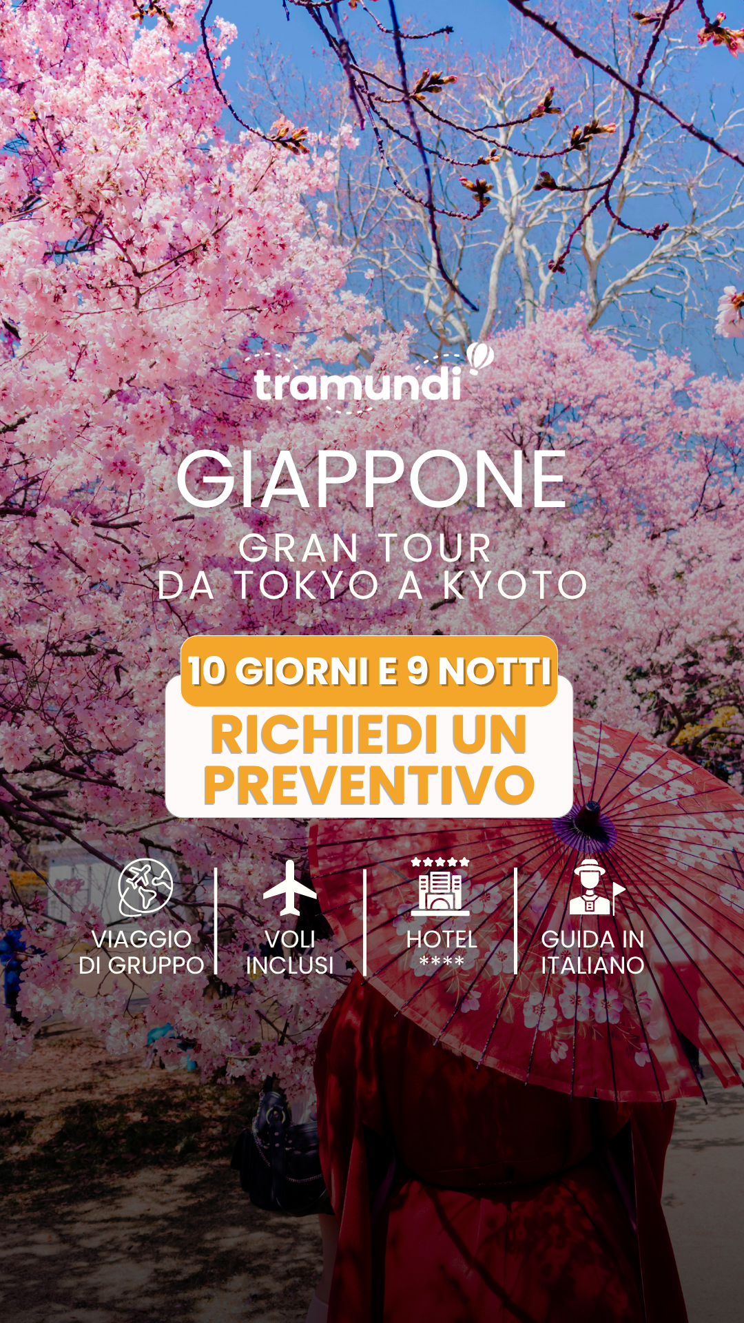 Tramundi Facebook ad