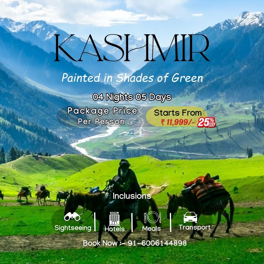 Tasha Tour and Travels Facebook ad