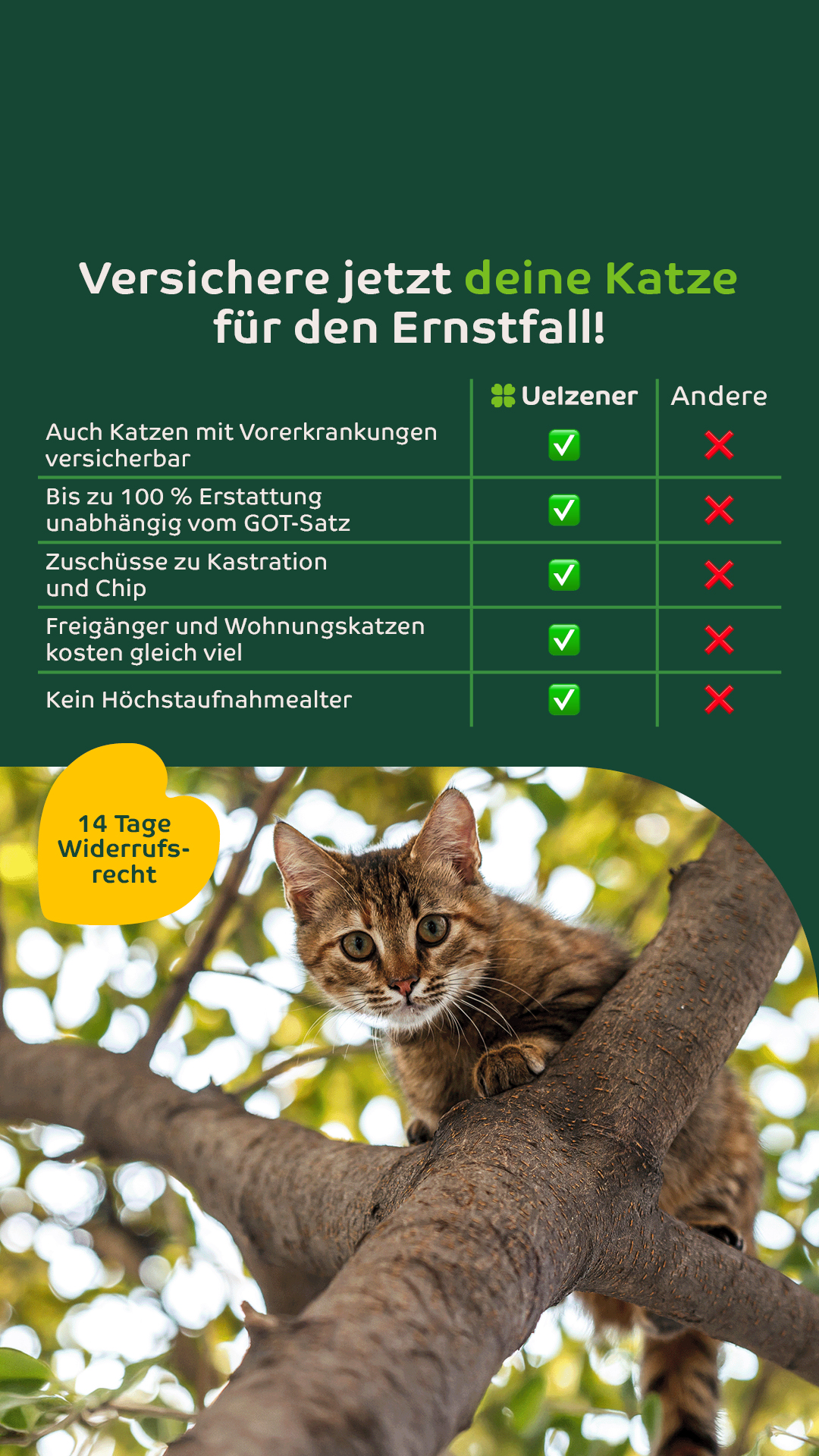 Uelzener Versicherungen Facebook ad