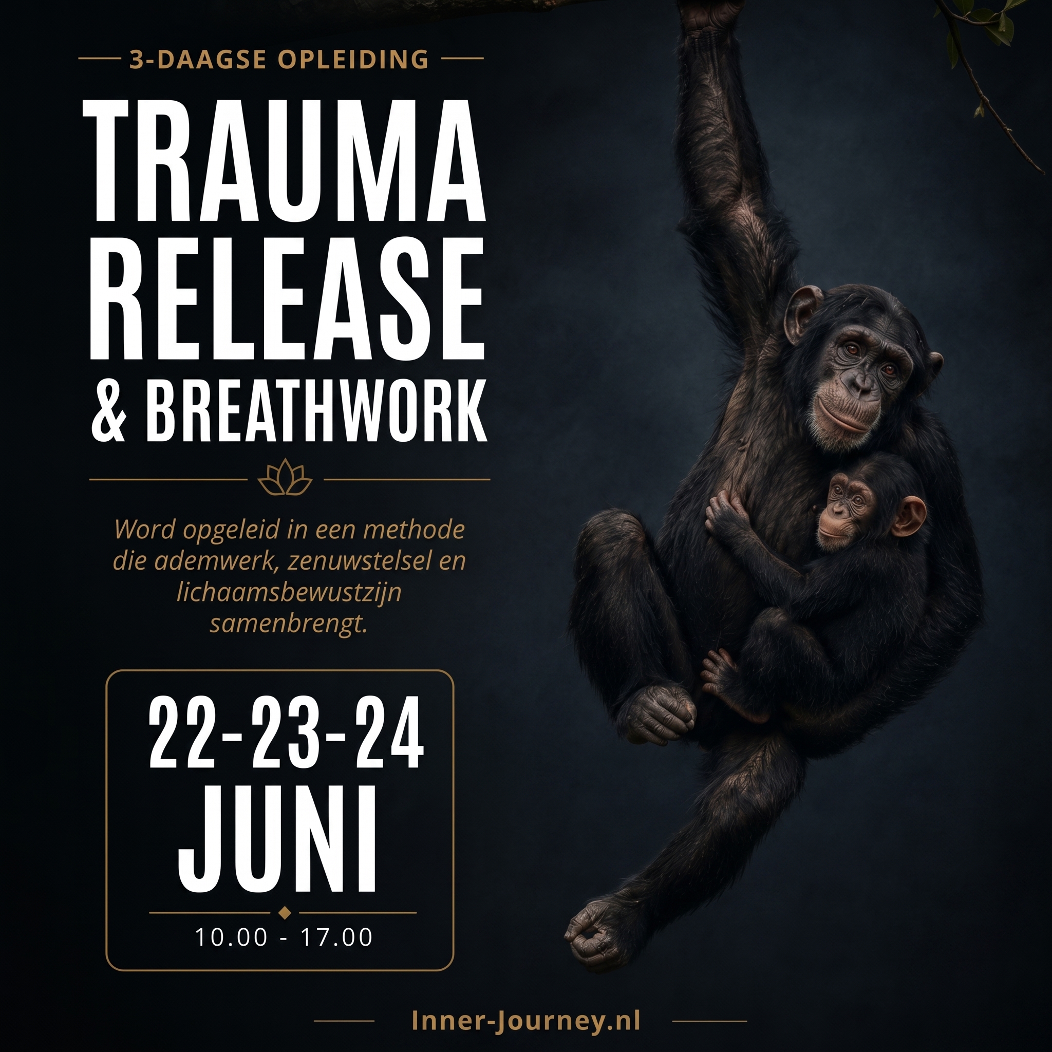 Inner-journey Trauma Release & Breathwork Facebook ad: Trauma Release & Breathwo