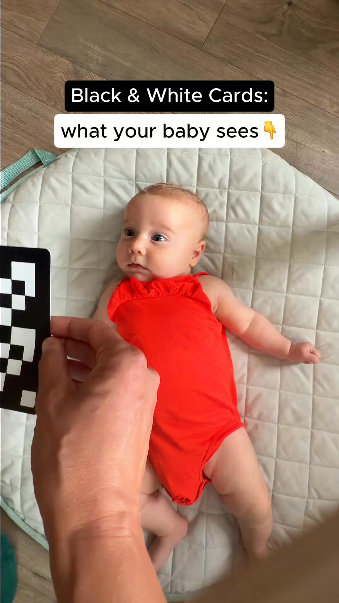 Lovevery Facebook ad: NEW in The Looker Play Kit