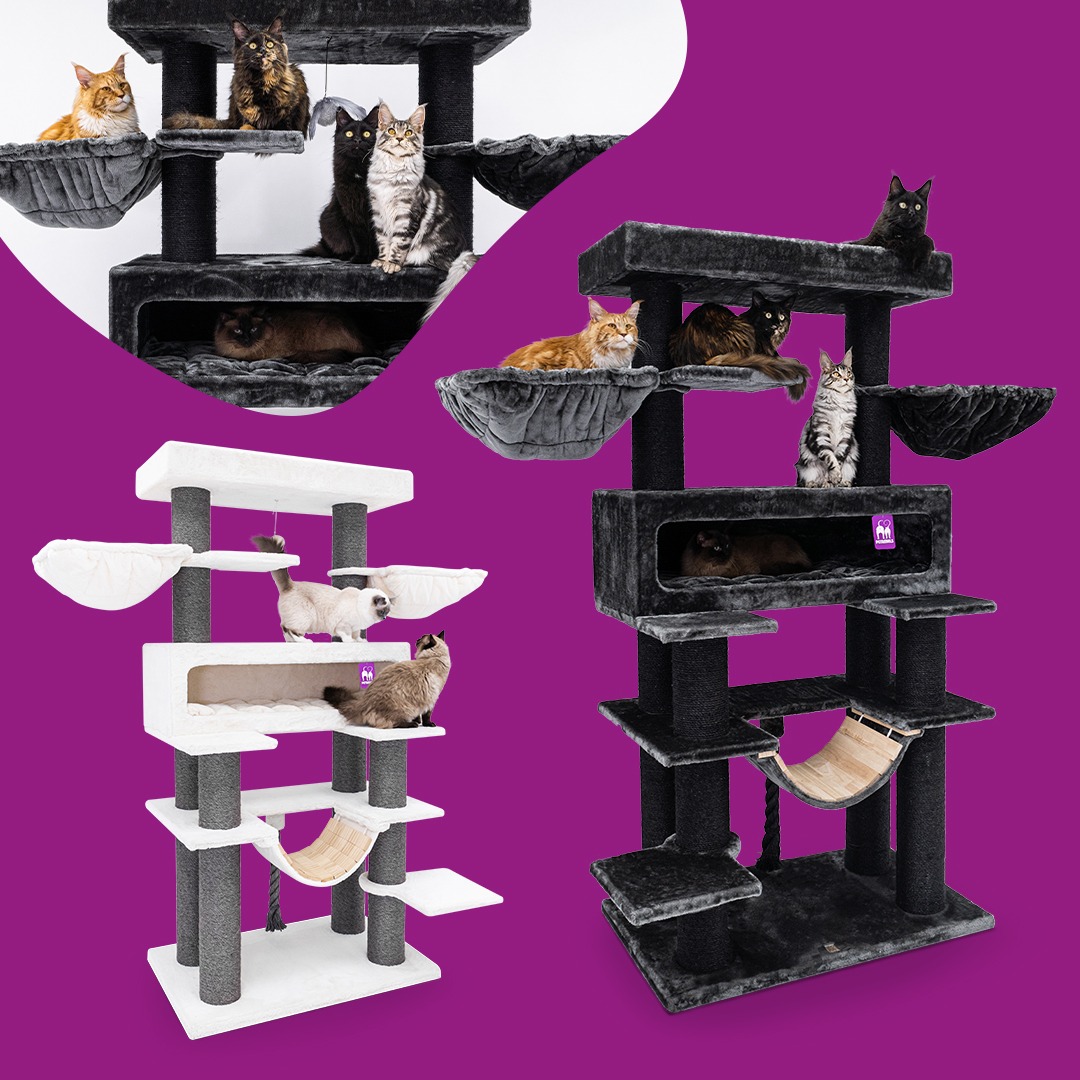 petrebels.com Facebook ad