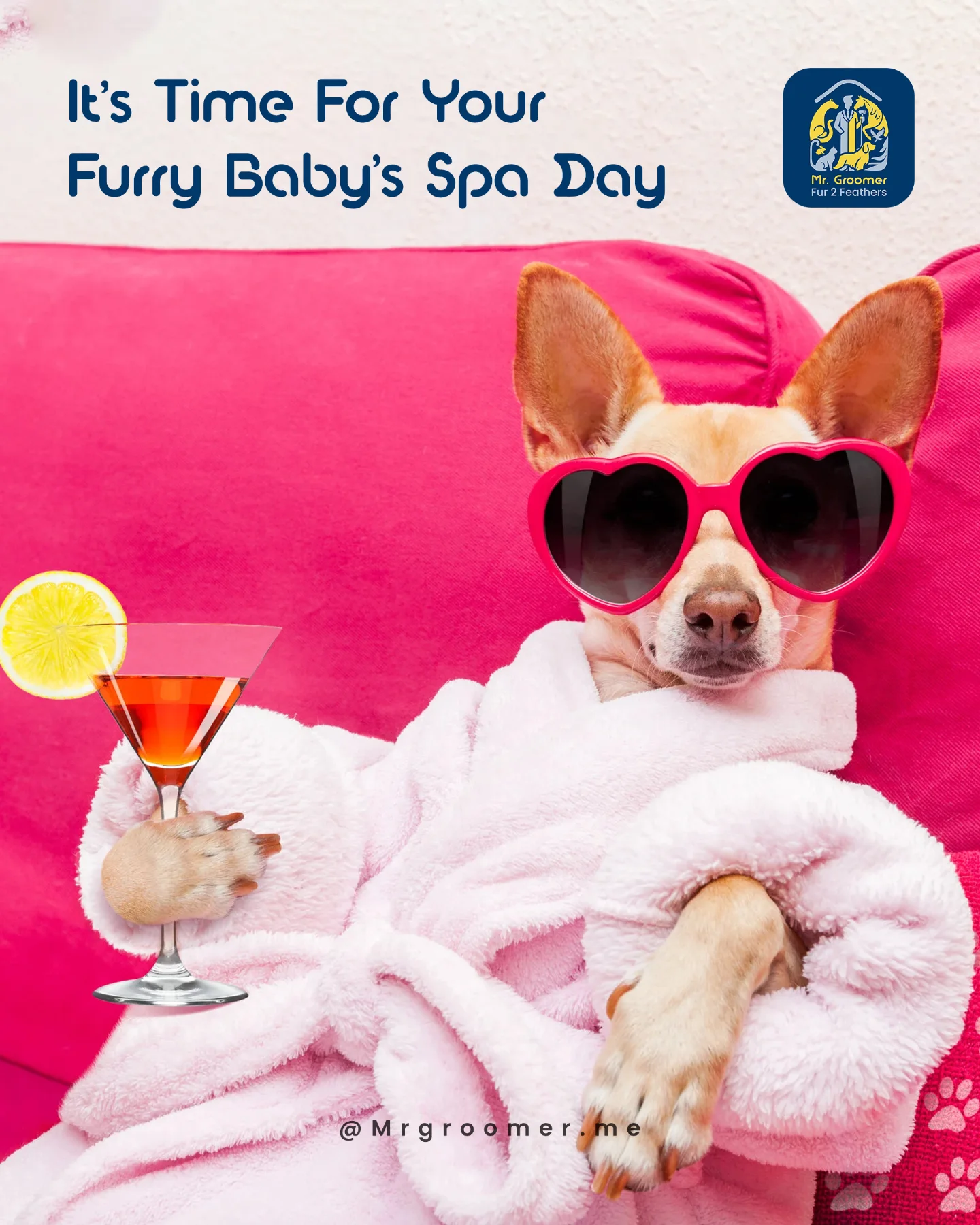 Mr. Groomer - Professional Pet Grooming at Home Facebook ad