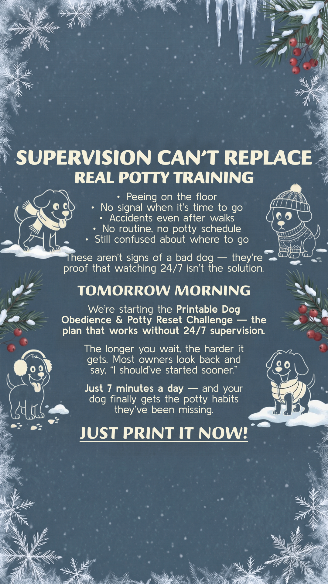 PawChamp Facebook ad