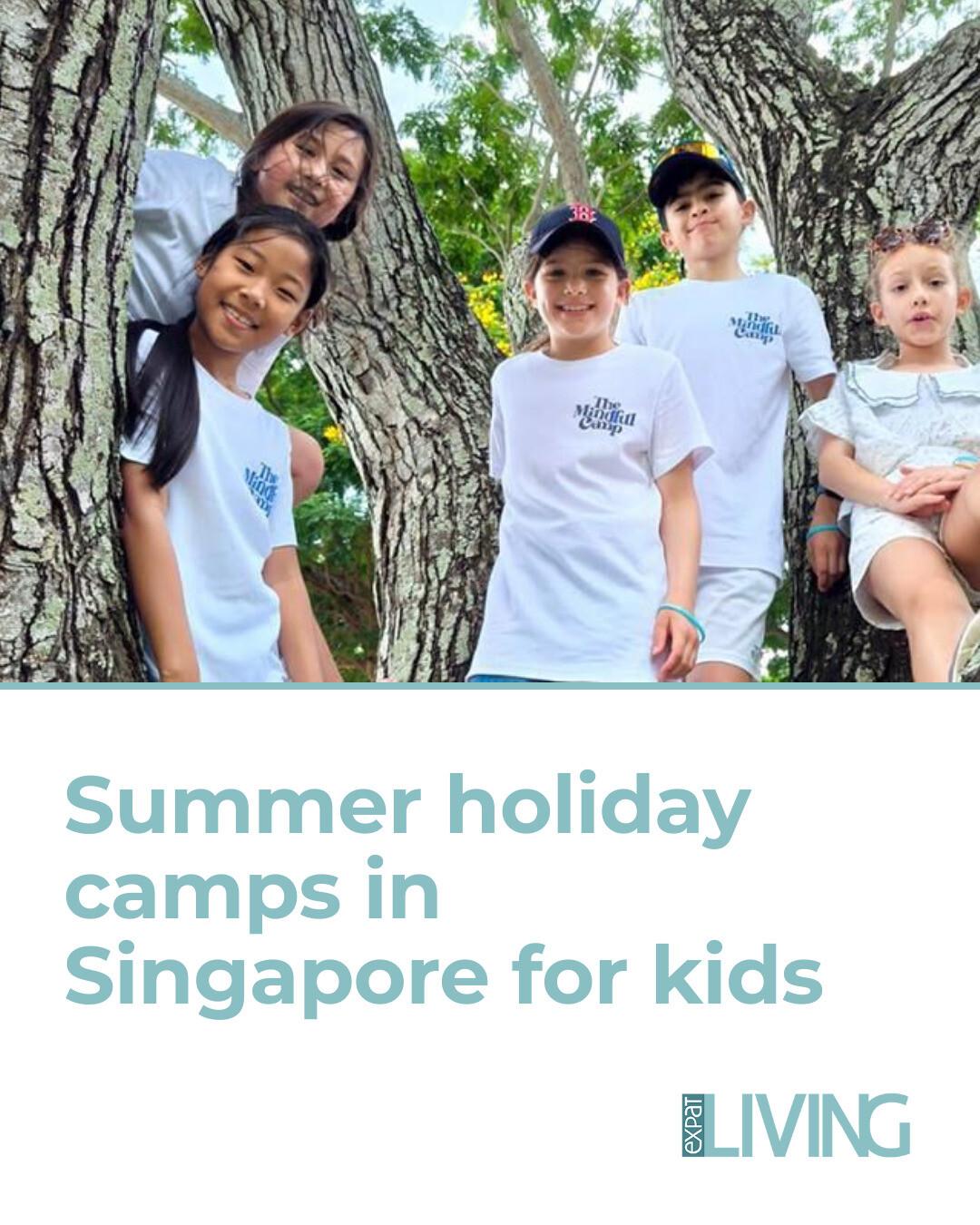 Expat Living Singapore Facebook ad