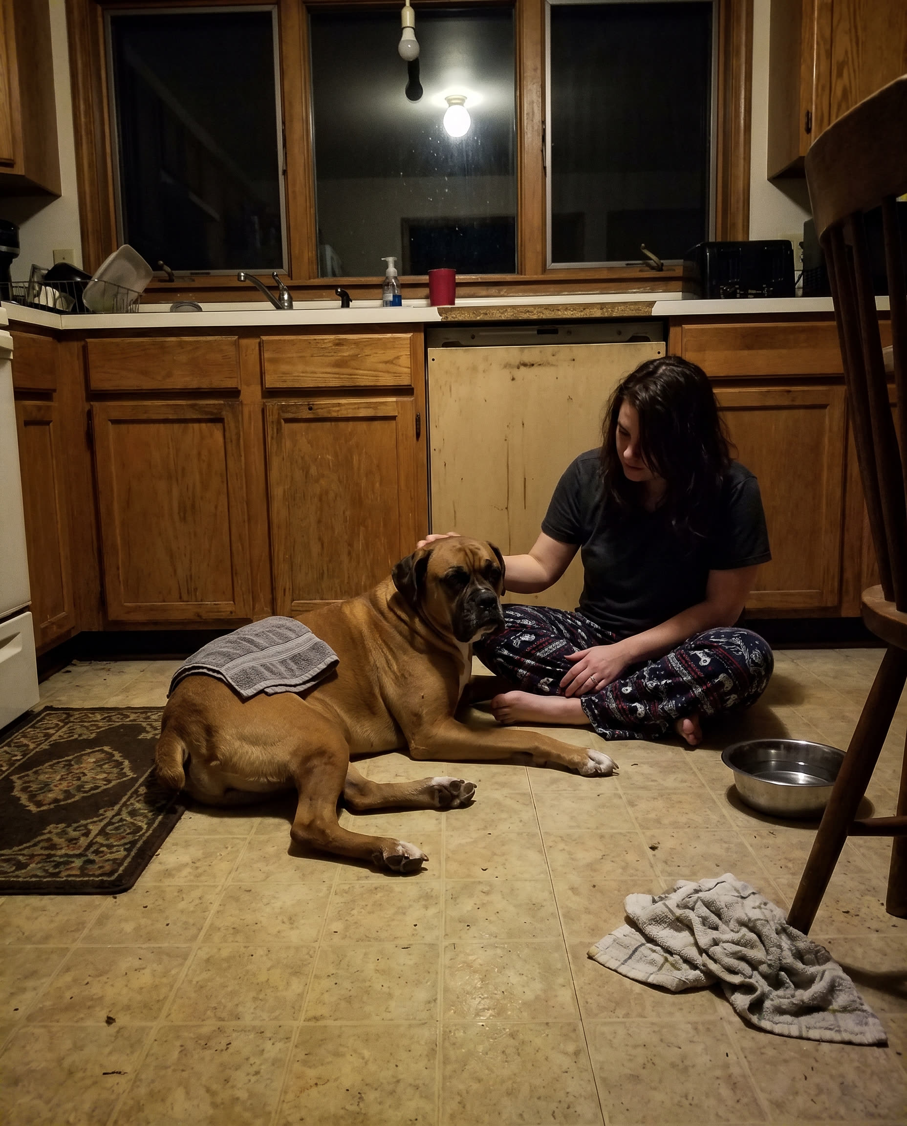 Zoomies Facebook ad: Nobody with a stiff older dog wants to hear this, and I've…