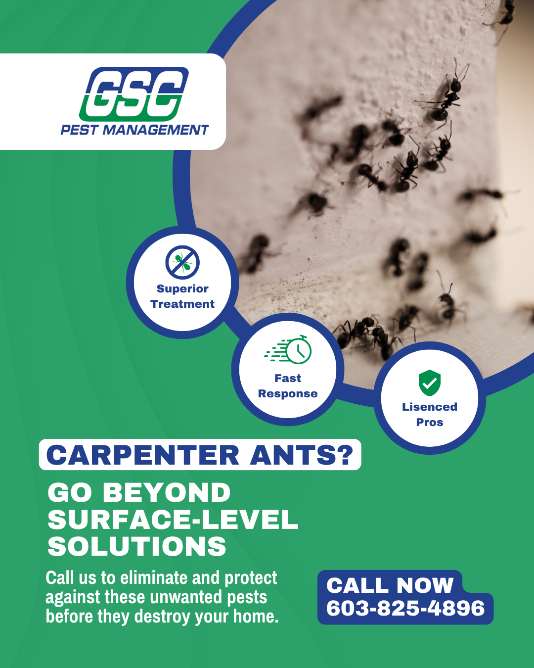 GSC Pest Management Facebook ad: A Smarter Approach to Carpenter Ant Control