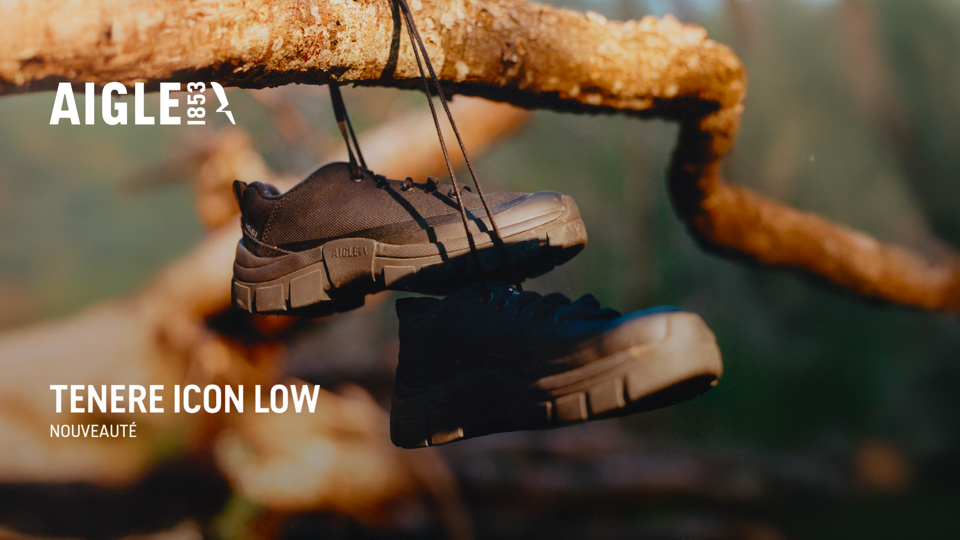 Aigle Facebook ad: Tenere Icon