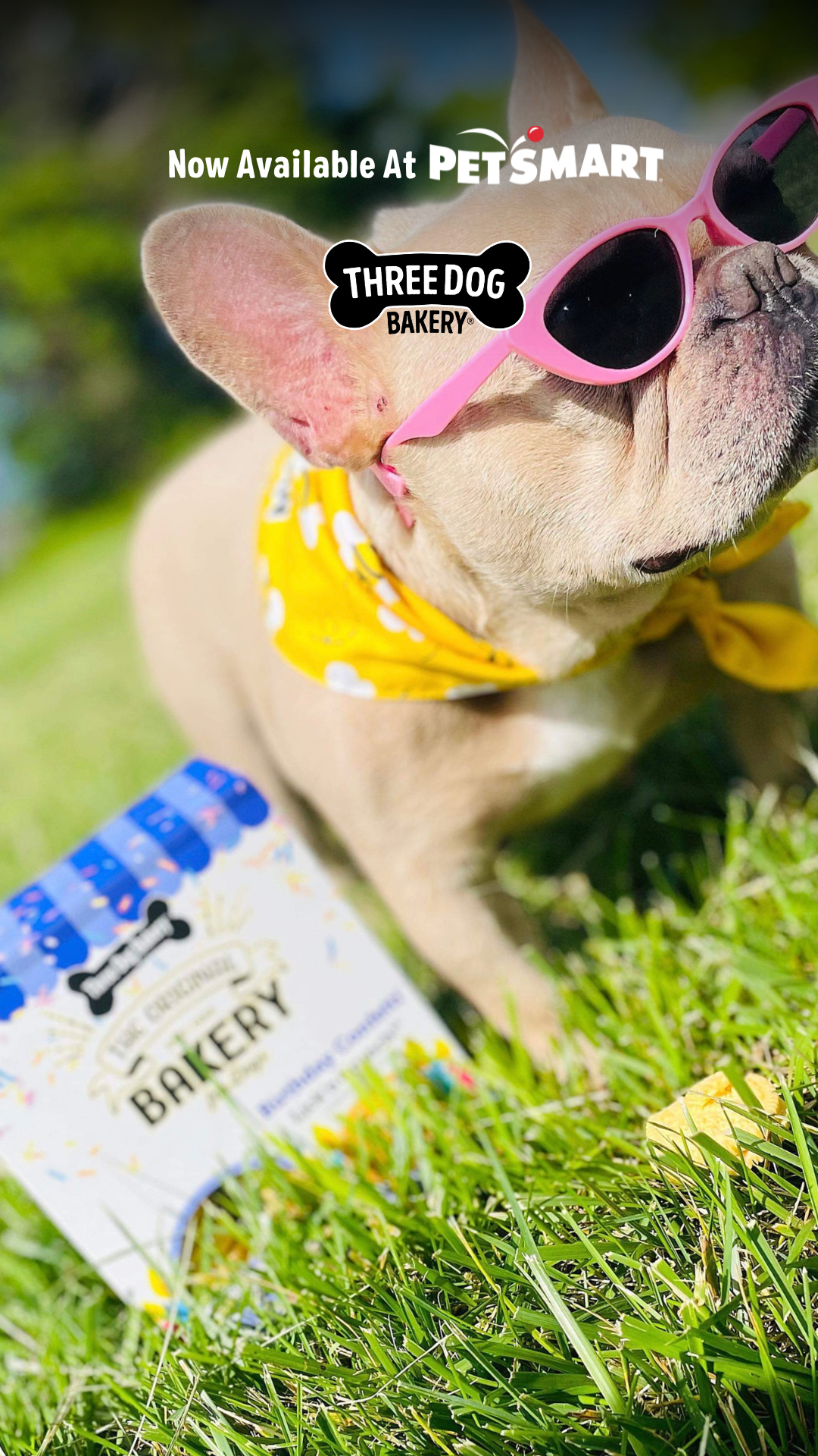 Three Dog Bakery Facebook ad