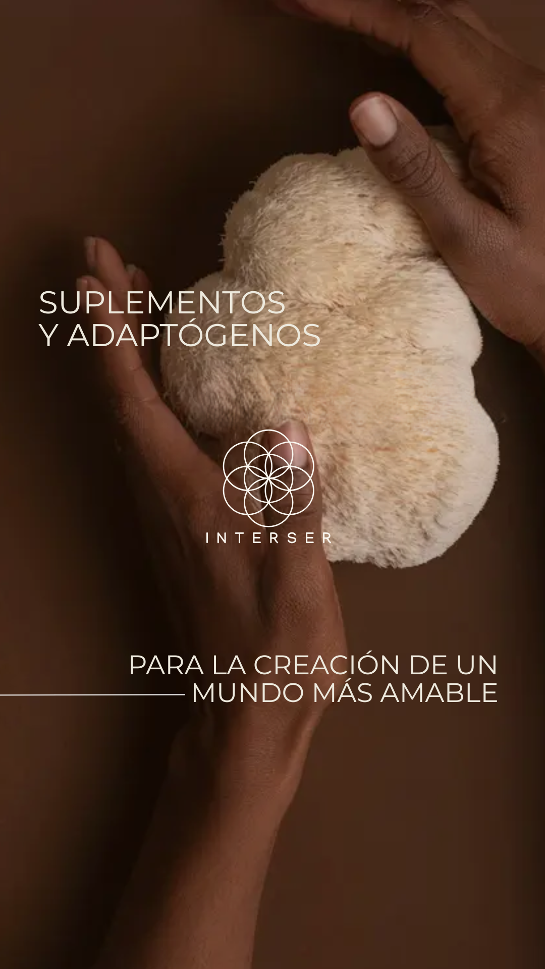 InterSer Facebook ad