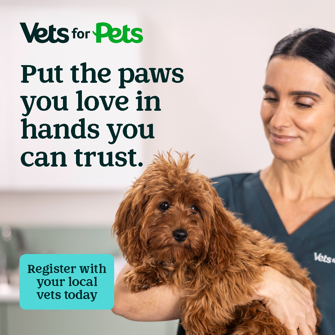 Pets UK Facebook ad