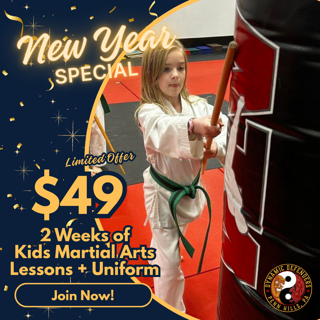 Dynamic Defenders ATA Martial Arts Facebook ad