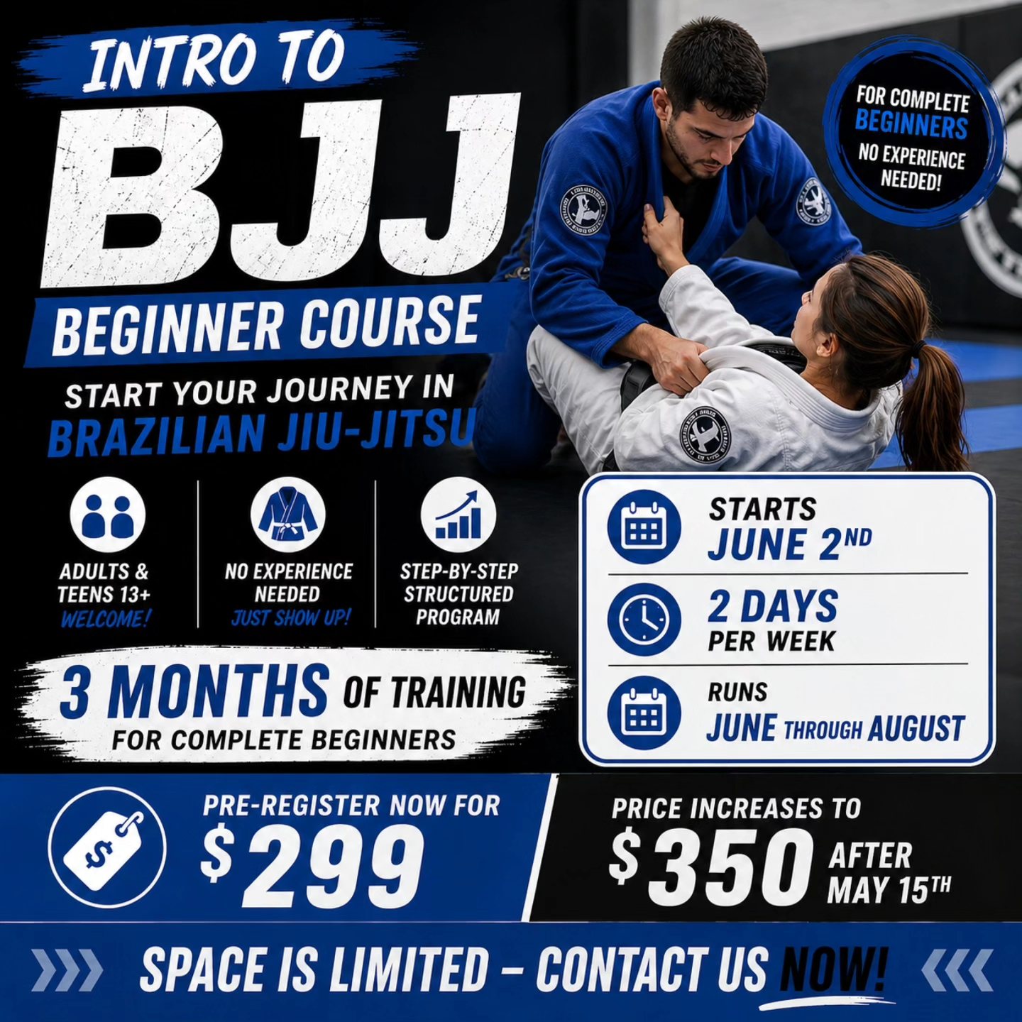 Stratford Brazilian Jiu-Jitsu Academy Facebook ad: INTRO TO BJJ COURSE