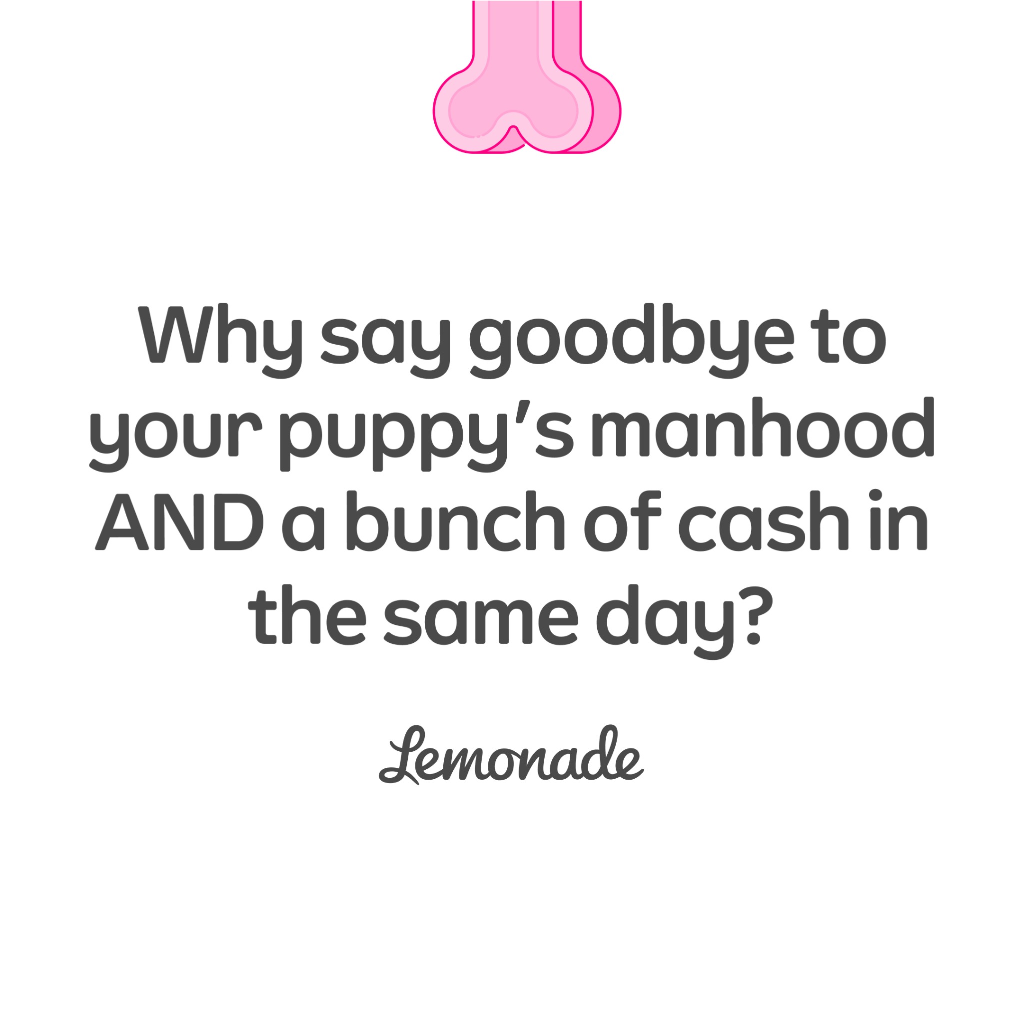 Lemonade Facebook ad