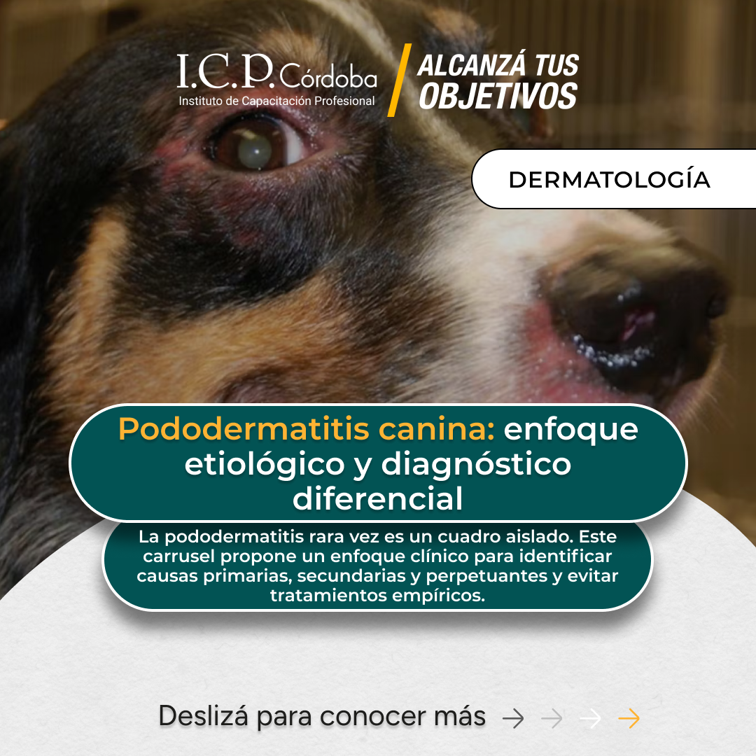 ICP Córdoba - Instituto de Capacitación Profesional Facebook ad: La pododermatitis canina rara vez es un problema…