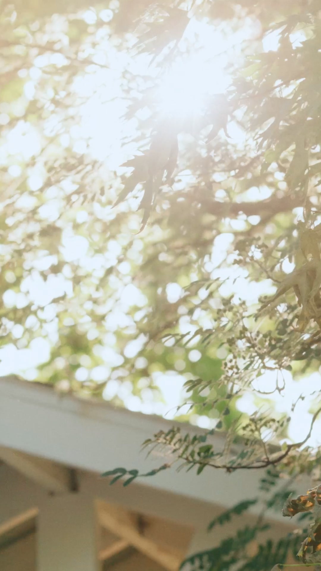 JoVan Films Facebook ad: Most wedding videographers film every couple the same way…