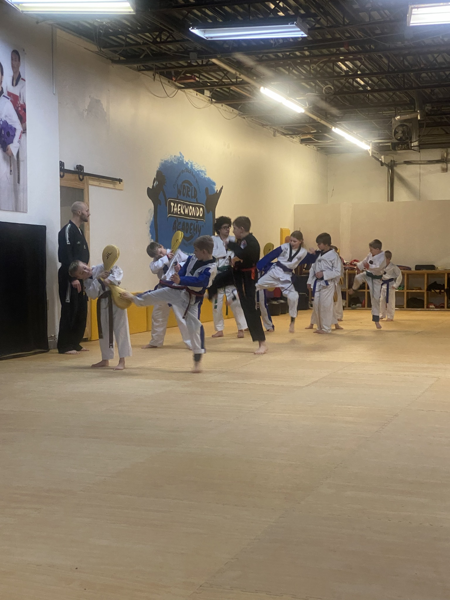 World Taekwondo Academy - Delano Facebook ad