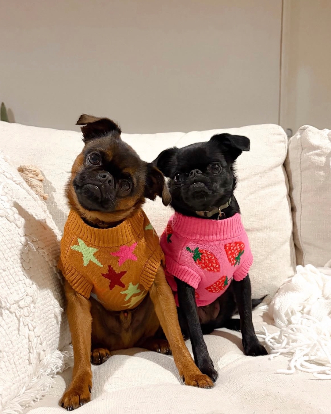 Pablo & Co. Boutique Facebook ad