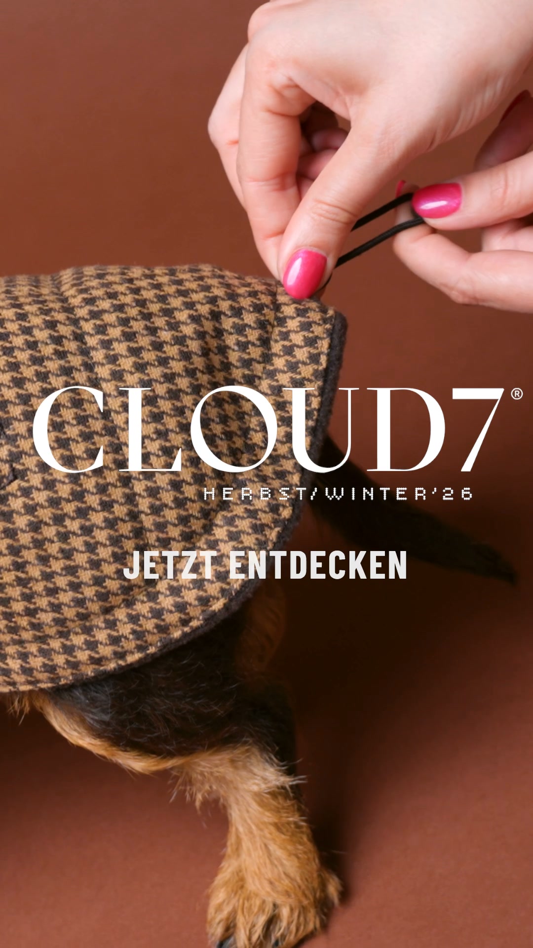 Cloud7 Facebook ad: Wetterfest für jeden Hund
