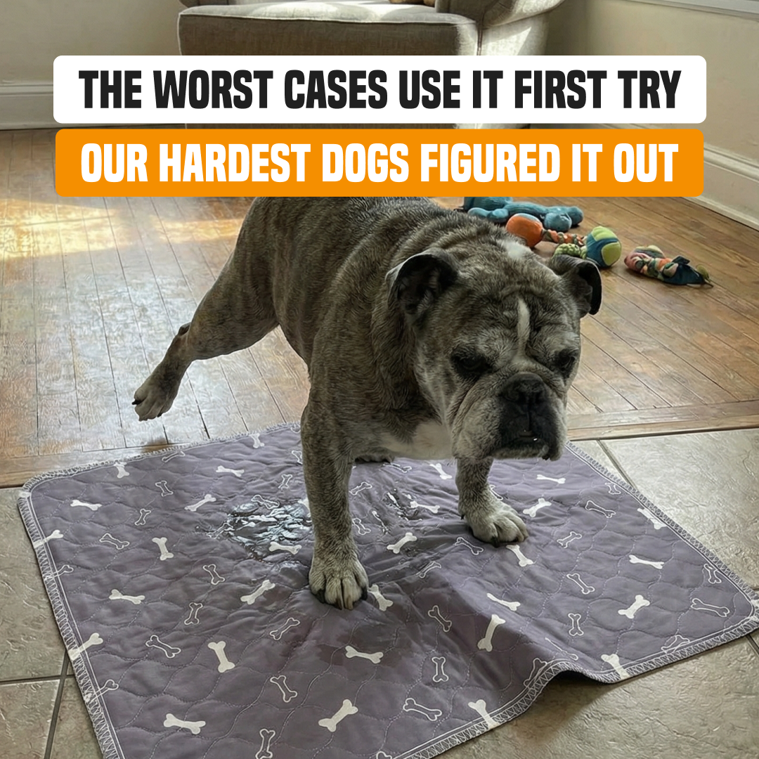 PuppyPad Facebook ad