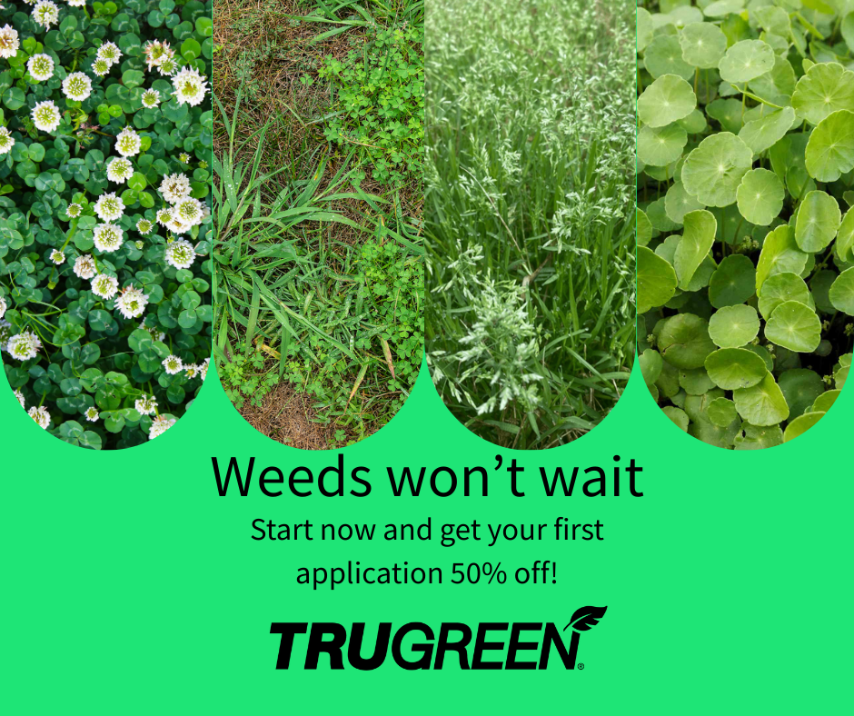 TruGreen South Facebook ad