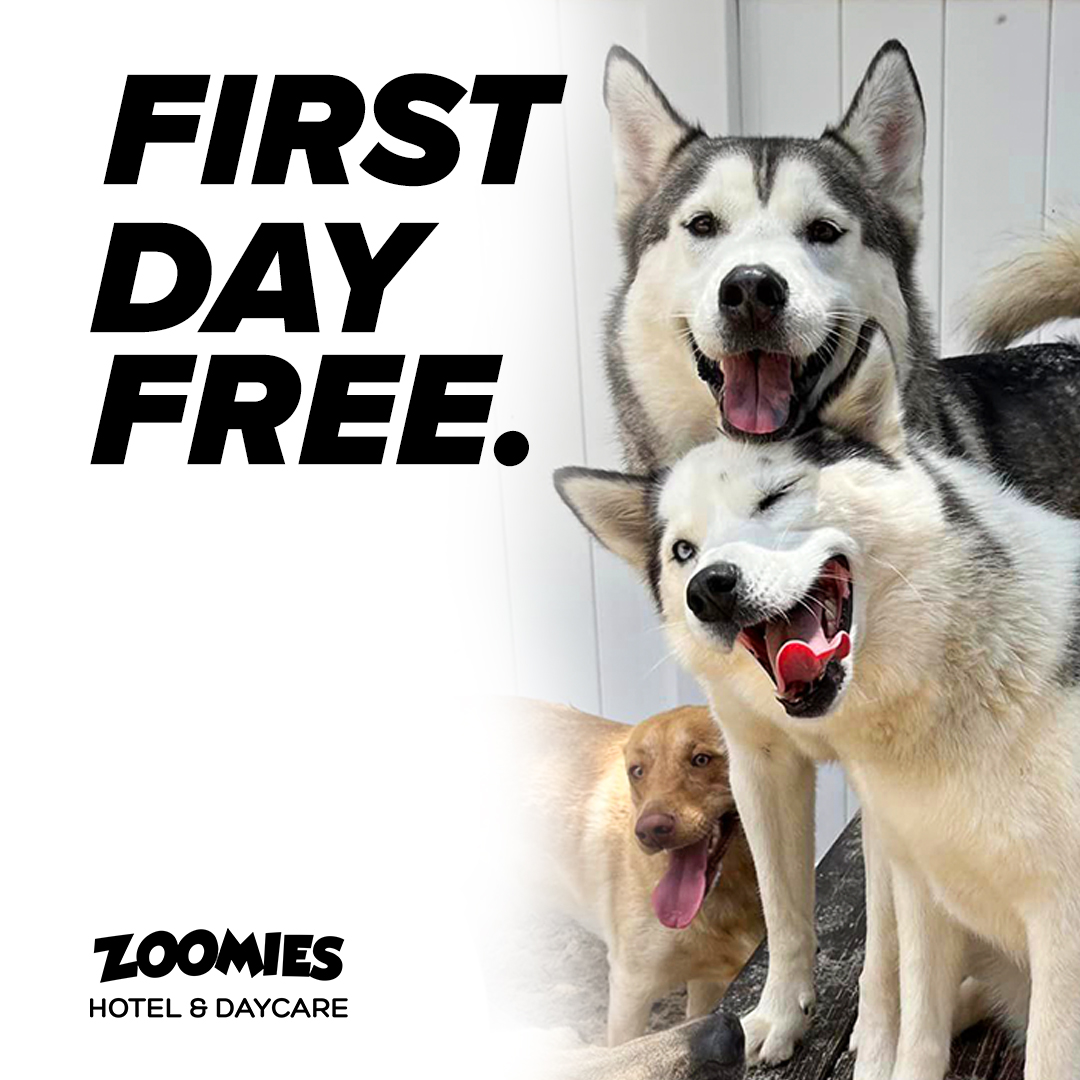 ZOOMIES Pet Hotel Facebook ad