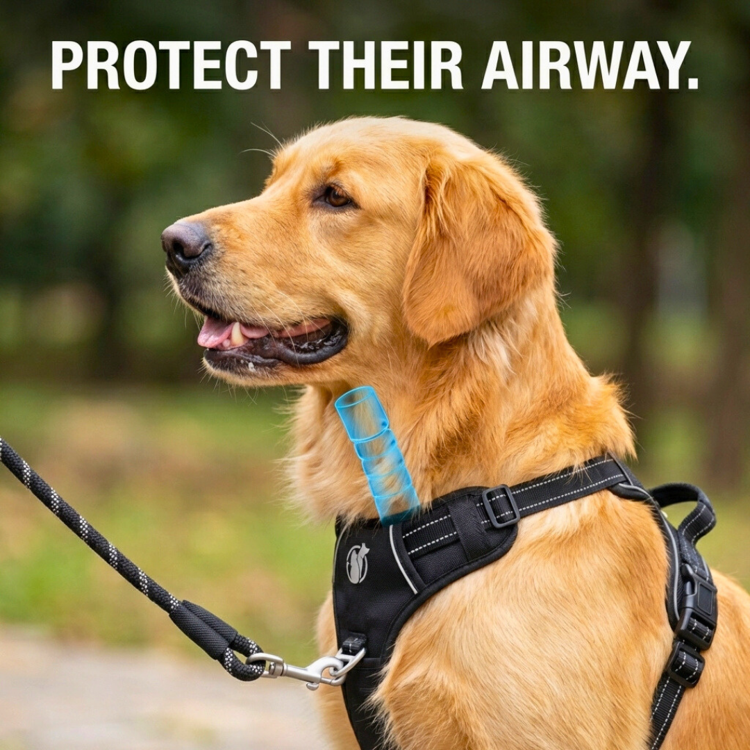 PawSafe Facebook ad
