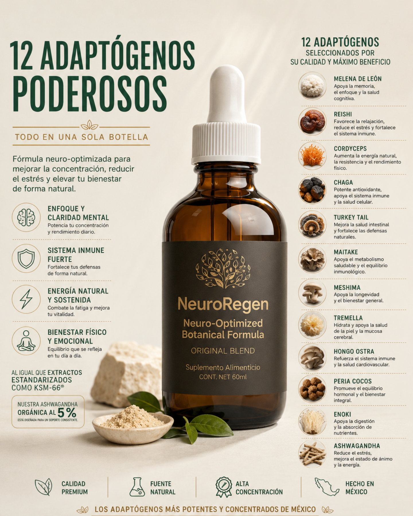 NeuroRegen.MX Facebook ad: Tu cerebro tiene una actualización pendiente.
