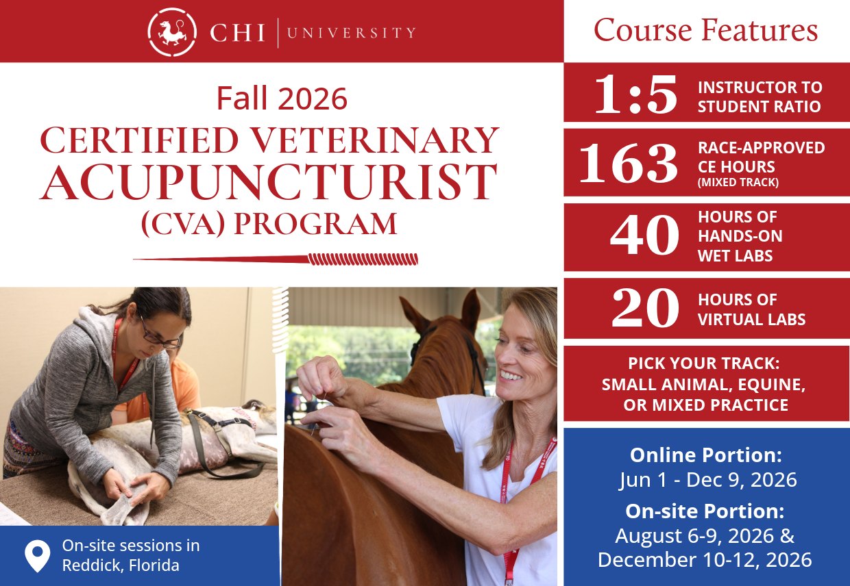Chi University Facebook ad