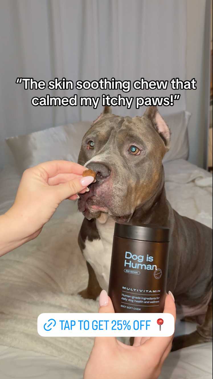 Dog is Human Facebook ad