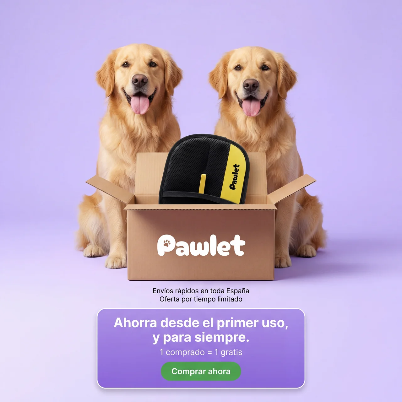 Pawlet Facebook ad
