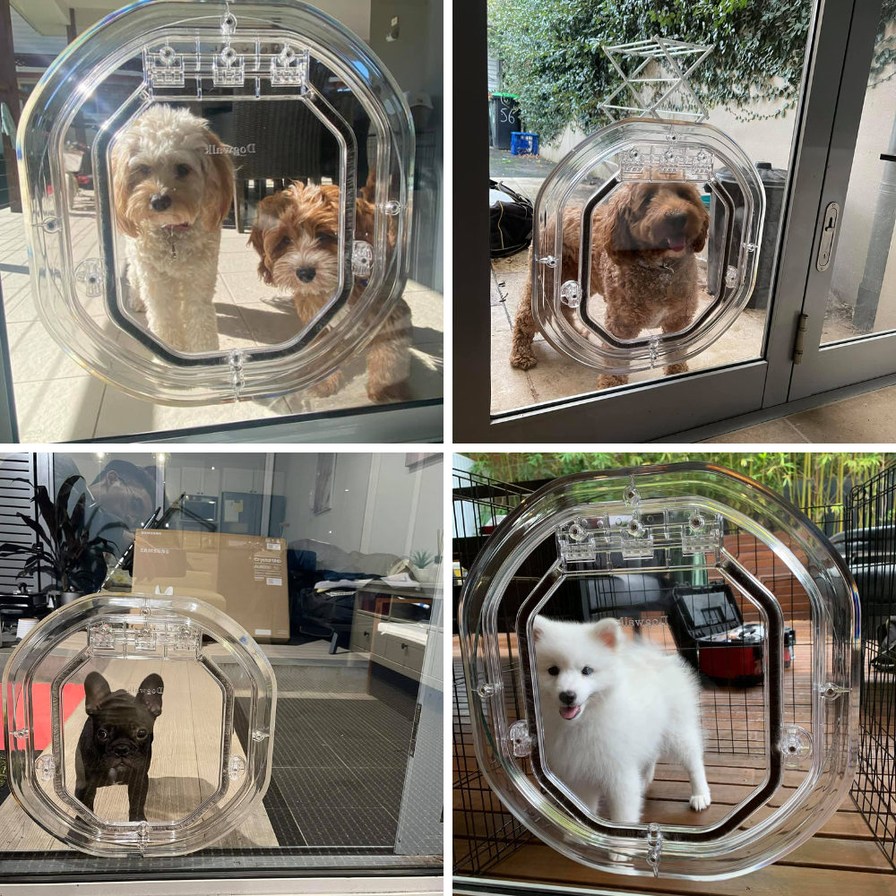 Sydney Paws Petdoor Facebook ad: Sydney Pet Door Supply & Installation