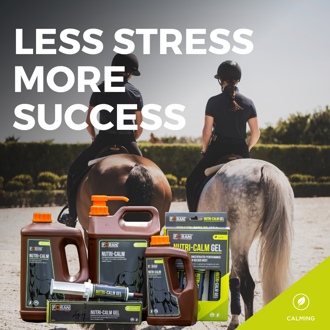 Foran Equine Facebook ad