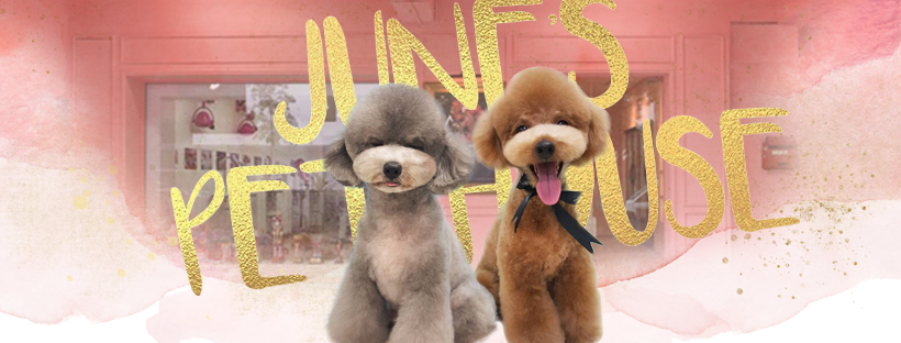 June's Pet house Facebook ad