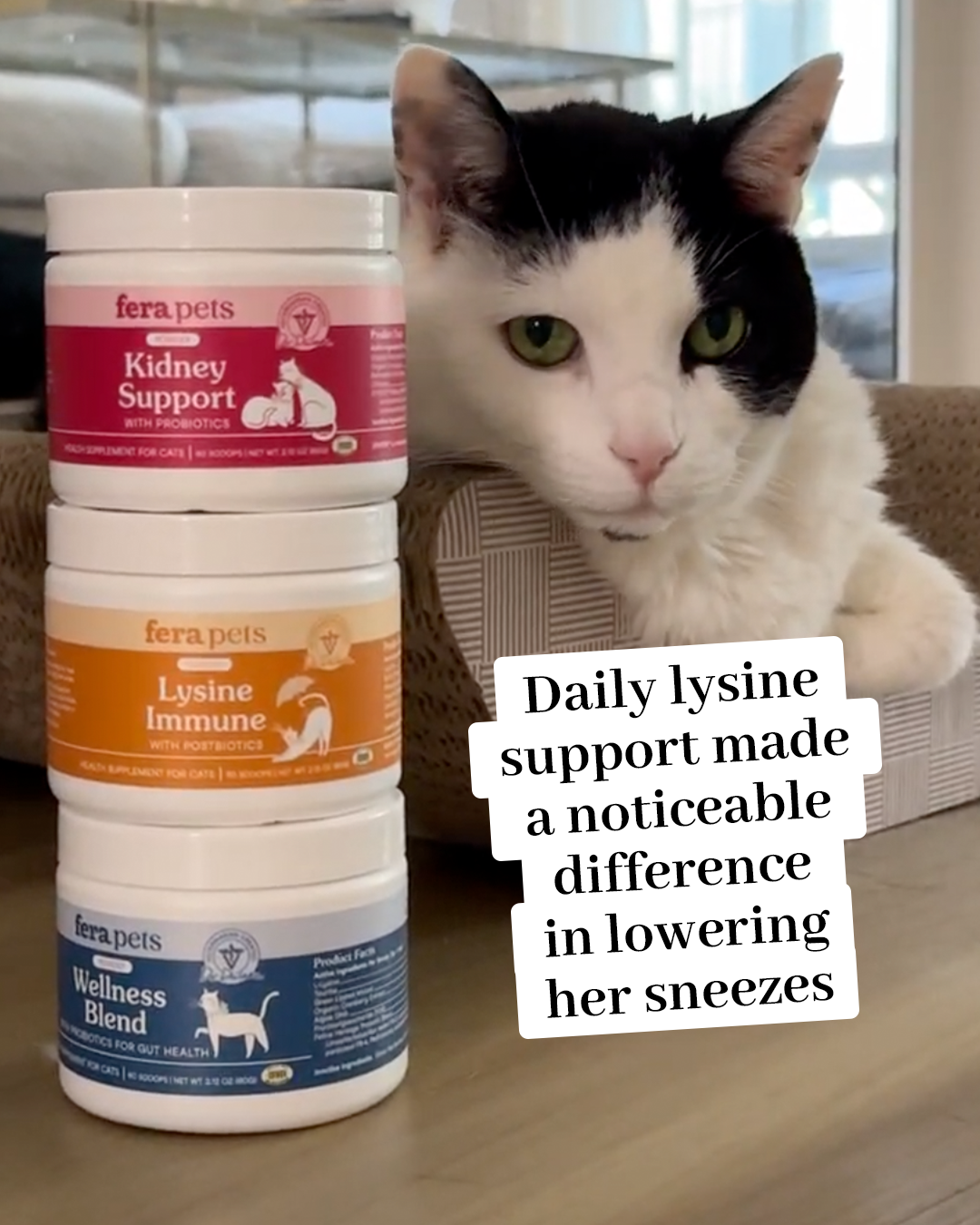 Fera Pets Facebook ad