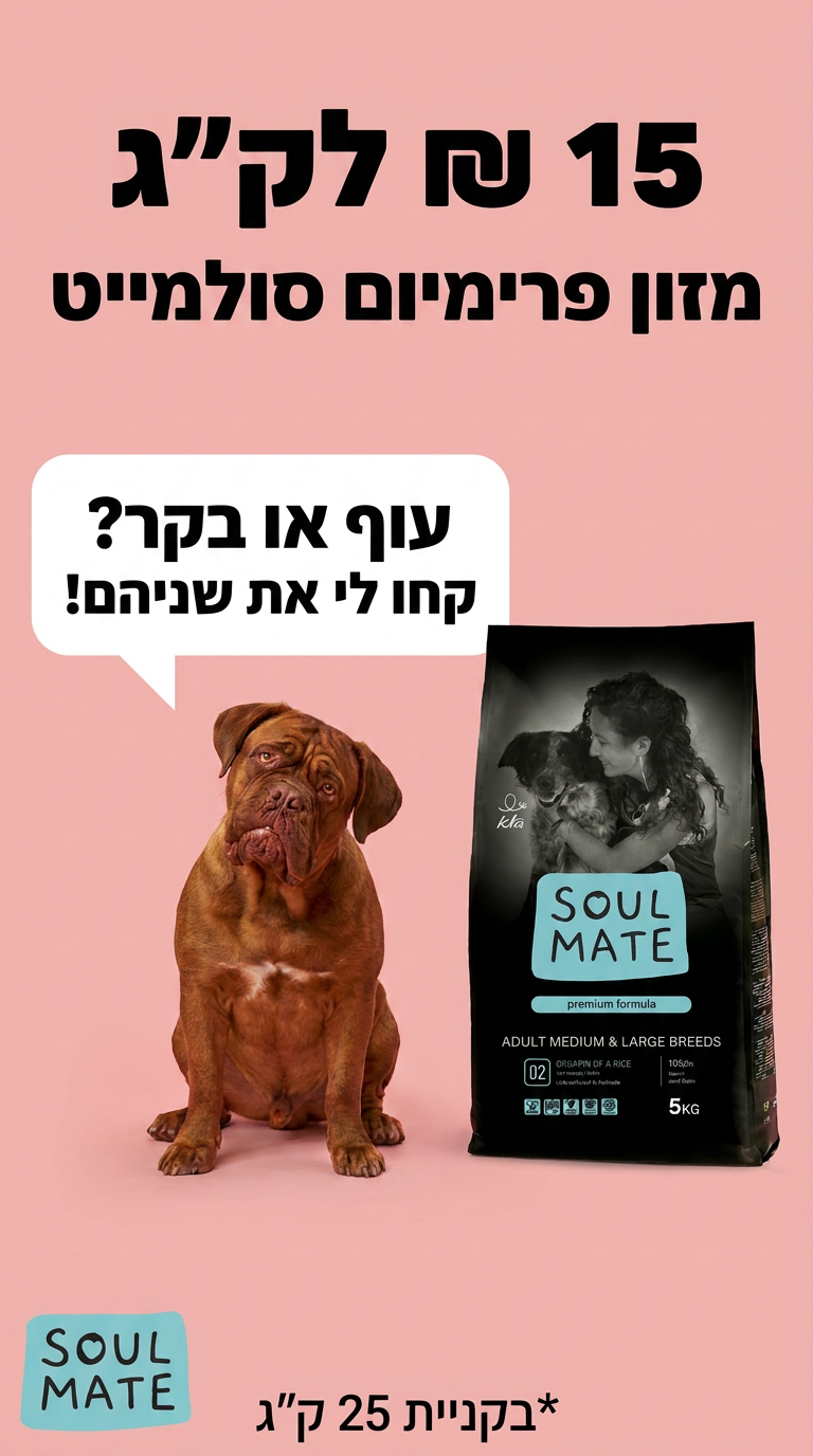 Soulmate - סולמייט Facebook ad