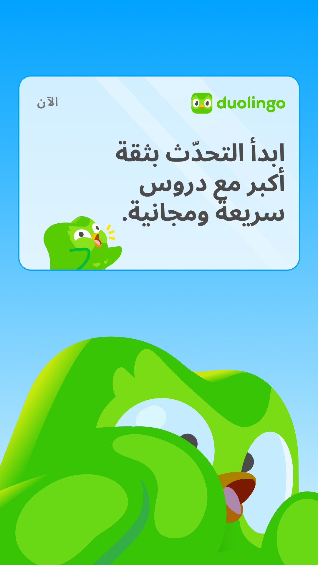 Duolingo Facebook ad