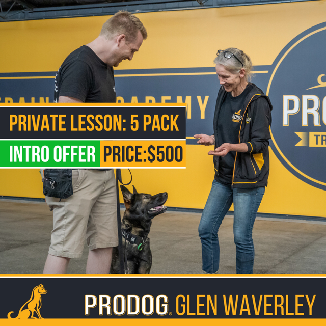 Pro Dog Training Facebook ad